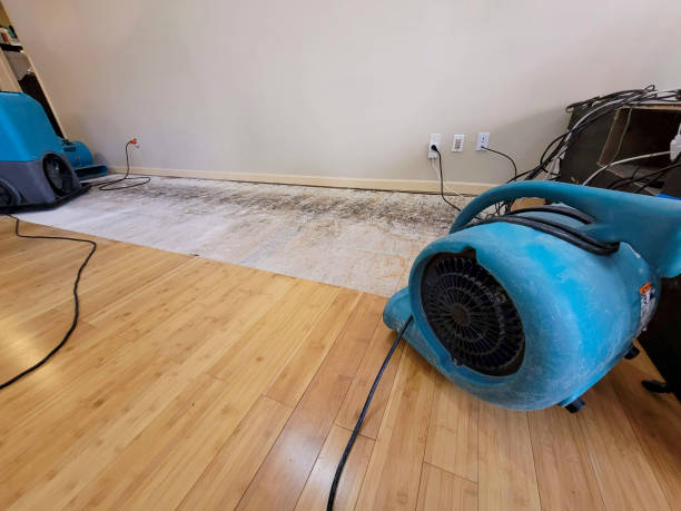 Professional Basement Flood Cleanup technician working in Verona, WI